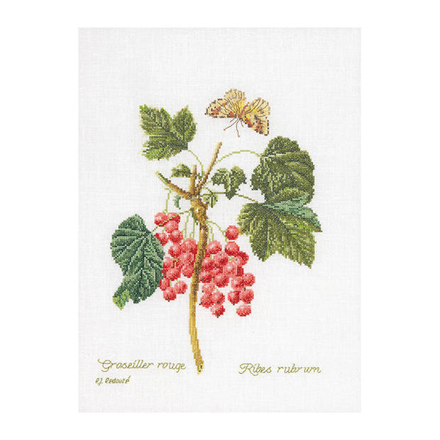 Thea Gouverneur クロスステッチ刺繍キットNo.2084 「Red Currant」(フサスグリ 果物) オランダ テア・グーヴェルヌール 【取り寄せ/納期40〜80日程度】
