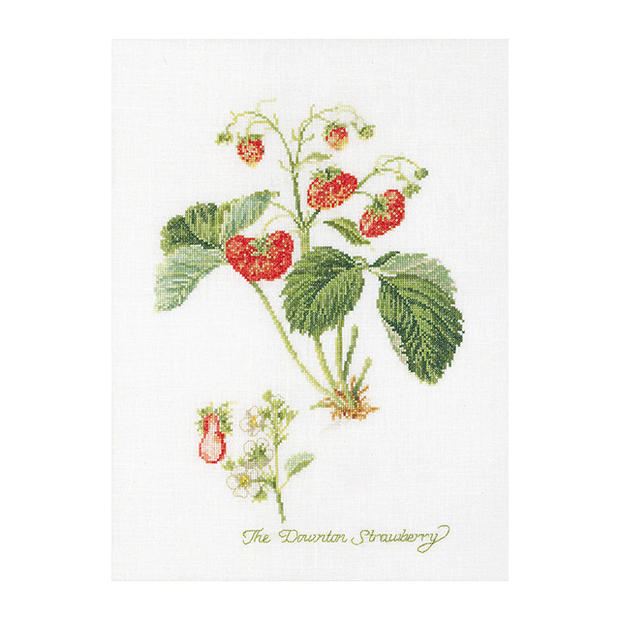 Thea Gouverneur クロスステッチ刺繍キットNo.2085 「Strawberry」(イチゴ 果物) オランダ テア・グーヴェルヌール 【取り寄せ/納期40〜80日程度】