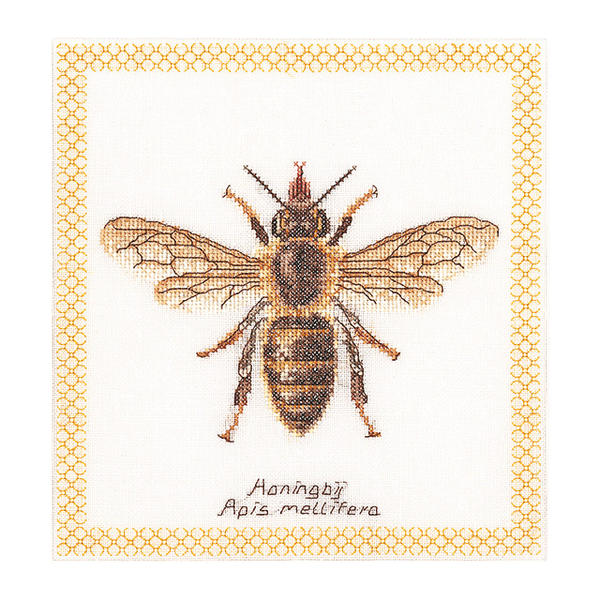 Thea Gouverneur クロスステッチ刺繍キット No.3017 「Honey Bee」(ミツバチ 蜜蜂) オランダ テア・グ..