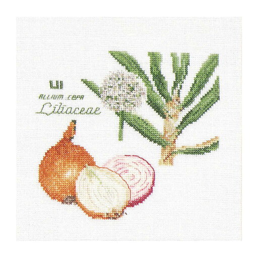 Thea Gouverneur クロスステッチ刺繍キット No.3042 「Onion」(玉ねぎ タマネギ 野菜) オランダ テア・グーヴェルヌール 【取り寄せ/納期40〜80日程度】 Thea Gouverneur クロスステッチ刺繍キット No.3042 「Onion」(玉ねぎ タマネギ 野菜) オランダ テア・グーヴェルヌール 【取り寄せ/納期40〜80日程度】