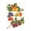 Thea Gouverneur クロスステッチ刺繍キット No.3062A 「Peaches & Plums」 布:綿アイーダ (桃とプラム 果物) オランダ テア・グーヴェルヌール 【取り寄せ/納期40~80日程度】