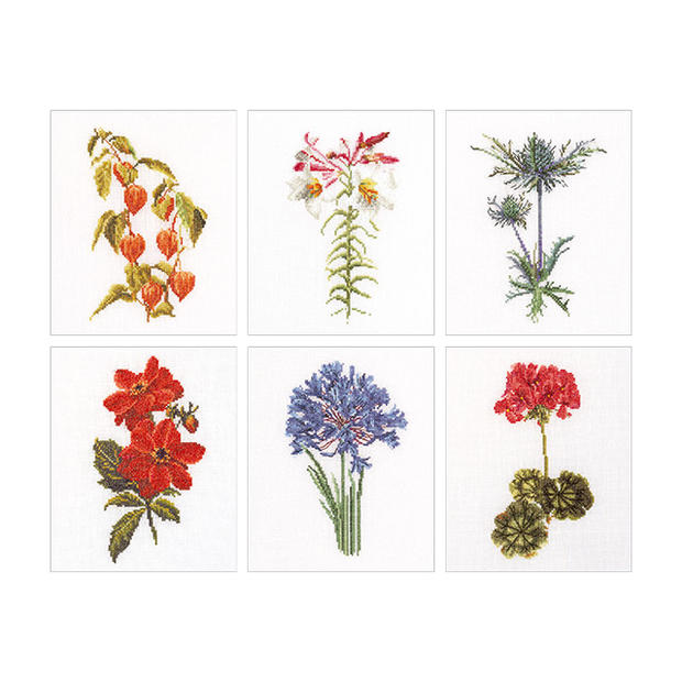 Rakuten - Thea Gouverneur クロスステッチ刺繍キット No.3082A 「Six Floral Studies」 布:綿アイーダ 6つの花(2) オランダ テア・グーヴェルヌール 【取り寄せ/納期40〜80日程度】