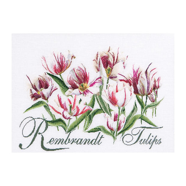 Thea Gouverneur クロスステッチ刺繍キット No.447A 「Rembrandt Tulips」(布:綿アイーダ 白/レンブラントチューリップ 花) オランダ テア グーヴェルヌール 【取り寄せ/納期40〜80日程度】