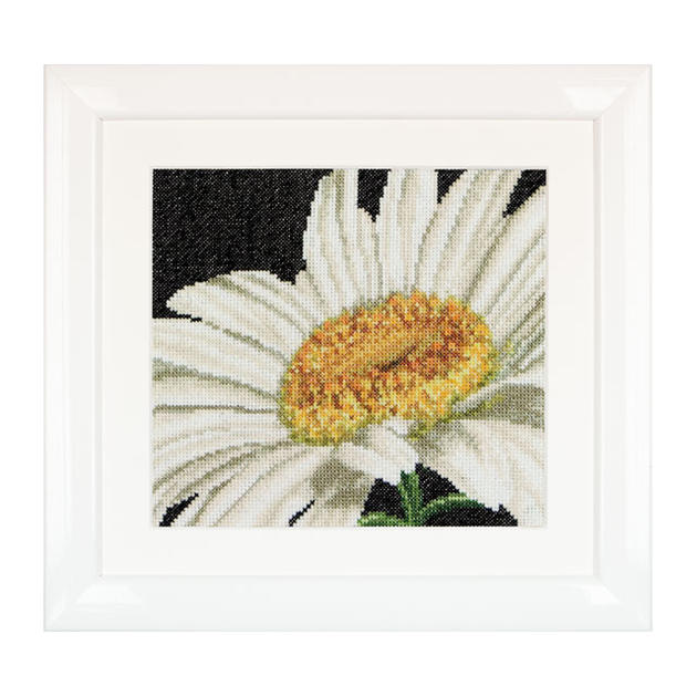 Rakuten - Thea Gouverneur クロスステッチ刺繍キットNo.490 「Marguerite」(マーガレット Margaret 花) オランダ テア・グーヴェルヌール 【取り寄せ/納期40〜80日程度】