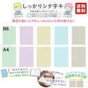 しっかりシタ字キ B5 A4 下敷き 小学生 男の子 女の子 文房具 文具 入学
