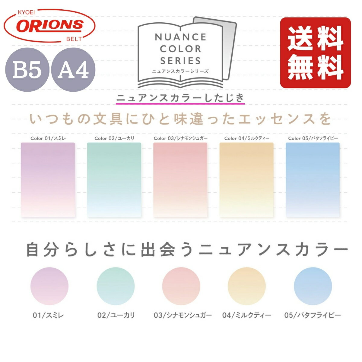 【1000円以上お買い上げで送料無料♪】下敷き 化学式 化学反応式 B5 両面 高校 テスト 勉強 チャート式 数研出版 - メール便発送