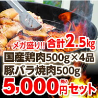 4種類から自由に選べる国産鶏肉&豚バラ焼肉BBQセット!!!