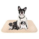 ペットシーツ 洗える 猫 犬用 おしっこパッド ペット用 トイレ下敷きマット 速乾 洗える ポリエステル 大判サイズ 多頭飼いに最適(ベージュXL 二枚セット)