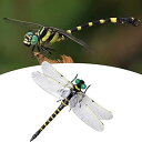 おにやんま オニヤンマ モデル 天敵で虫除けトンボ 蜻蛉 モデル 虫対策 12cm 本物 等身大 取付簡単 昆虫 虫 蜻蛉 動物 模型 登山 トンボ キャンプ 釣り 衣服 玄関 室内 家庭菜園 装飾など(1 匹-黒/黄)(3)