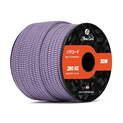 パラコード 4mm 9芯 パラシュートコード ガイロープ 耐荷重280kg テントロープ サバイバル アクセサリー制作用（30m/ボーダー # パープル & シルバー グレー）