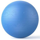 バランスボール 65cm ばらんすぼーる トレーニングガイドパターン付き 厚い ジムボール バランスボール 椅子 スポーツ 耐荷重300KG アンチバースト空気...