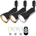 ダクトレール用 スポットライト 3個セット E26口金 900LM 消費電力8.3W(60W形相当) LED電球付き リモコン付き 調光 調色 レールライト ダ...