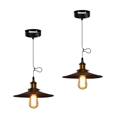 ペンダントライト シャンデリア E26 / E27口金 レトロ 照明器具 天井照明 吊り下げ ライト シーリングランプ インテリア照明 電球別売り (引掛シーリング式 2個)(3)