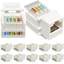 RJ45 Cat6キーストーンジャック、10個イーサネットウォールジャックインラインカプラーCat6ネットワークカプラーCat5/5e/6互換-Cat6ネットワークカプラー(2)