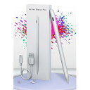 iPad タッチペン 第10世代対応 2024 最新型/傾き感知/磁気吸着機能対応/超高感度/リターンボタン/バッテリー残量表示 iPad ペンシル 誤作動防止機能対応 軽量 耐摩 USB C充電式 apple pencil 2018年以降iPad/