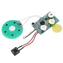 DIY 音声 録音モジュール レコーダー 付き マイク サウンドオーディオスピーカー 拡声器 手作りグリーティングカード ギフトボックス 招待状 など用 40m...
