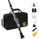 クラリネット ニッケルメッキ B調 Clarinet ABS樹脂管体 ベーム式 お手入れ付 初心者向け 黒 ECL-300 開学 プレセント