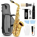 アルトサックス サックス 12点セット bE Eフラット Saxophone ゴールドラッカー サクソフォン ケース付き お手入れセット 彫刻入り 初心者 サッ...