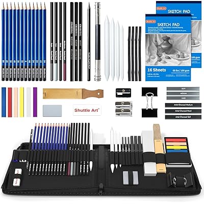 スケッチ鉛筆 デッサンツール 子供や大人も適用な絵具 52パック ポップアップ式 ポータブル 収納ケース付き 素描初心者 アーティスト 美術 アート専門 製図 クラフト