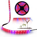 植物育成ライト LED植物ランプ テープ 植物成長促進用ランプ 植物光ストリップ レッドブルー 5:1照明リボン 水耕栽培ランプ 園芸 室内栽培