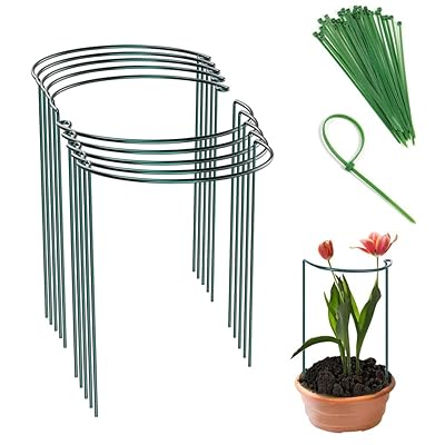 【8本組セット】植物支柱 花ささえ スライド支柱 観葉支柱 花支柱 ガーデニング用支柱 つる性植物 花支え 25x40cm 園芸用結束バンド付き20本