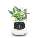 Ivyスマートプランター スマートケア&スマートペット LED画面 スマートホーム機能搭載 観葉植物鉢 ミニ 植木鉢 インテリアグリーン 部屋飾り 小型&軽量 ...