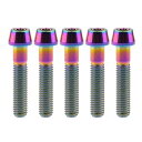 M8x15 20 25 30 35 40 45 50 mm P1.25 チタン合金コニカルヘッド六角穴付ボルト 5個入 (M8x40mm, でレインボー)