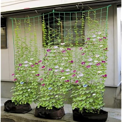 【緑のカーテンを作ろう】つる栽培ネット つるもの ネット 野菜誘引 10cm角目 1.8m*2.7m 四隅取付ロープ付 ゴーヤ ヘチマ 朝顔 カーテン 田畑 菜園 園芸用品 緑