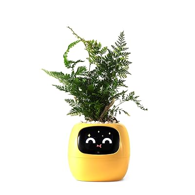 乐天商城 - スマートペットプランター ロボットガイダンス 絵文字付き 絵文字付き 愛らしい植物の仲間 ジェスチャーの相互作用 きちんとしたデスクセットアップギフト (イエロー)