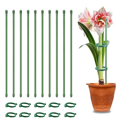 園芸支柱 植物支柱【10本組（花しちゅう*10個/フォルダ*10個】花ささえ スライドシチュウ ガーデニング用 つる性植物 花支え 観葉しょくぶつ しちゅう棚 フラワースタンド 胡蝶蘭観葉シチュウ 誘引 しょくぶつサポート 観賞植物用/野菜用シチュウ