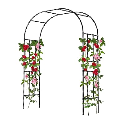 バラアーチ フラワーアーチ 金属製 幅150×奥行40×高さ240cm 屋外用 錆びにくい パイプ径20mm 組立簡単 ガーデンアーチ トレリス 園芸 装飾用 ブラック