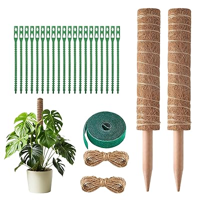 園芸支柱25本セット モンステラ支柱30CM*2 モンステラ ココナッツ DIY曲げる可能 観葉植物 つる植物 ガーデニング 維持水分 養分維持 農業用 園芸ブランド色茶色+緑モデル250606WDD02商品説明【商品概要】1【商品説明】1【商品詳細】商品種別：ガーデニング用支柱商品名：園芸支柱25本セット モンステラ支柱30CM*2 モンステラ ココナッツ DIY曲げる可能 観葉植物 つる植物 ガーデニング 維持水分 養分維持 農業用 園芸製造元：商品番号：PTZJTZ25LWGJP2-NEW色：茶色+緑【当店からの連絡】