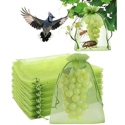 果物袋 果物保護バッグ 100枚入 保護ネット 10*15cm 保護バッグ 果実袋 防虫 鳩 ネット 防鳥ネット ブドウ 袋 メッシュ袋 巾着袋 通気性 光通過 耐久性 自然成長 鳥よけ 虫よけ カラス対策 害虫鳥避け 園芸工具 ロープ付き 栽培用