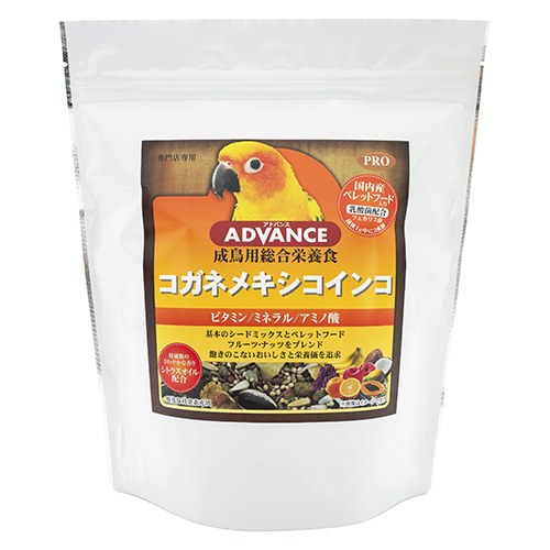 楽天市場】コガネメキシコインコの通販