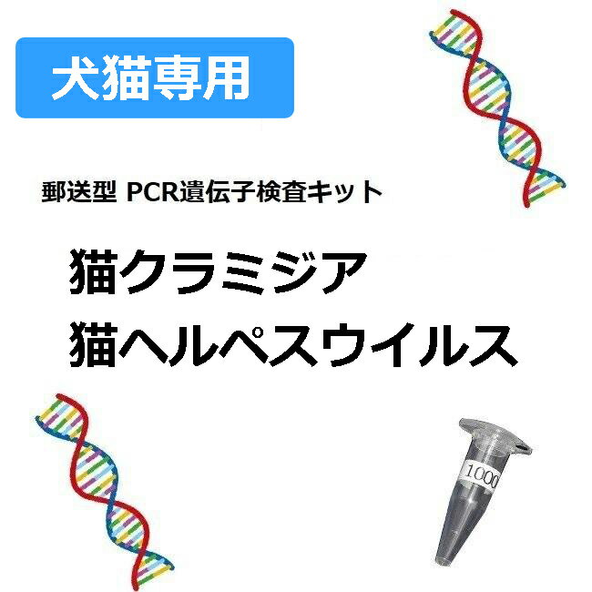 送料無料 | (一般タイプ)【ペット用遺伝子検査】猫の遺伝子検査キット　猫クラミジア&猫ヘルペスウイルス　C1+C2