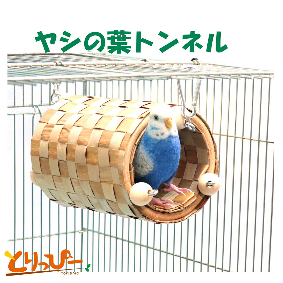 ̵ | 󥳤Τ 쥤ܡ䥷եȥͥ롡ƥ