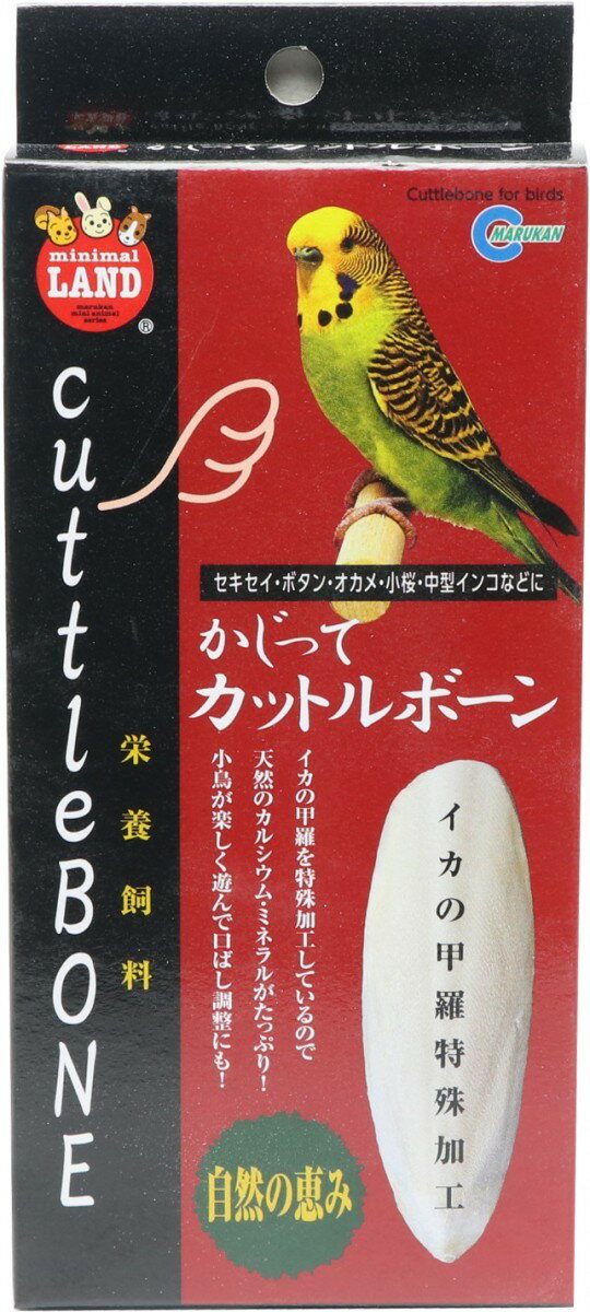 送料無料 | 小鳥用 カットルボーン（カトルボーン）2枚入り カルシウム補給