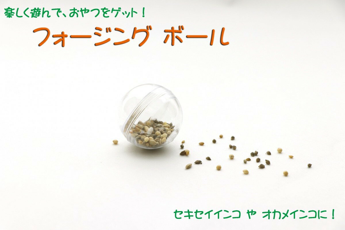 送料無料 | インコのおもちゃ 知育フォージング ボール 30mm セキセイインコやオカメインコに