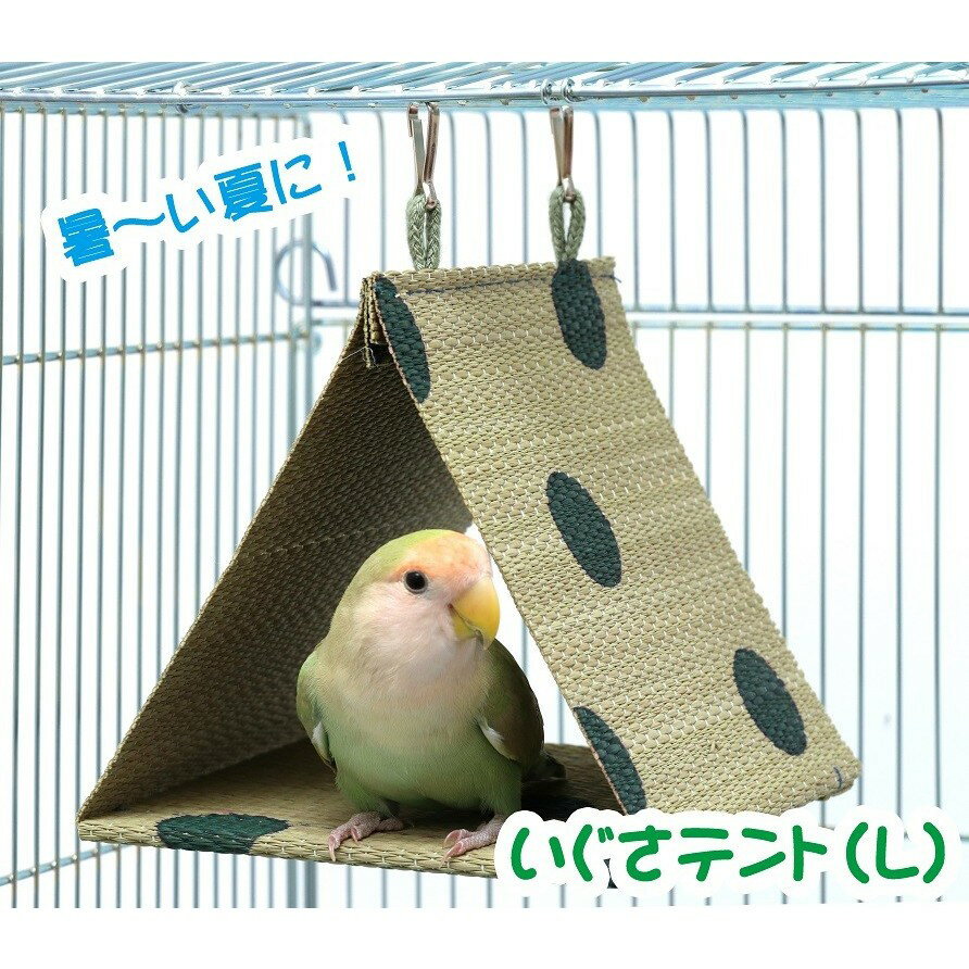 送料無料 | インコのおもちゃ 小鳥用 国産いぐさテント(L) グリーン(インコのテント・ベッド・ハウス)