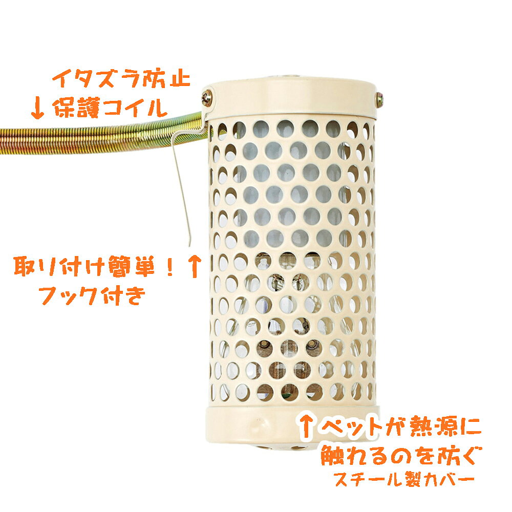 とりっぴー小鳥用品専門店の送料無料 | マルカン CASA ヒートランプ20W | 中間スイッチ付き|保温電球 ペットヒーター バードヒーター｜アングル2