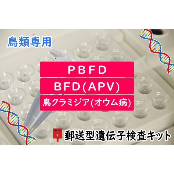 送料無料 | ペットショップ・ブリーダー向け　最大18羽まで対応　小鳥の遺伝子検査キット　BFD[APV] + PBFD(通常・変異の両方対応) + 鳥クラミジア(オウム病) 検出用