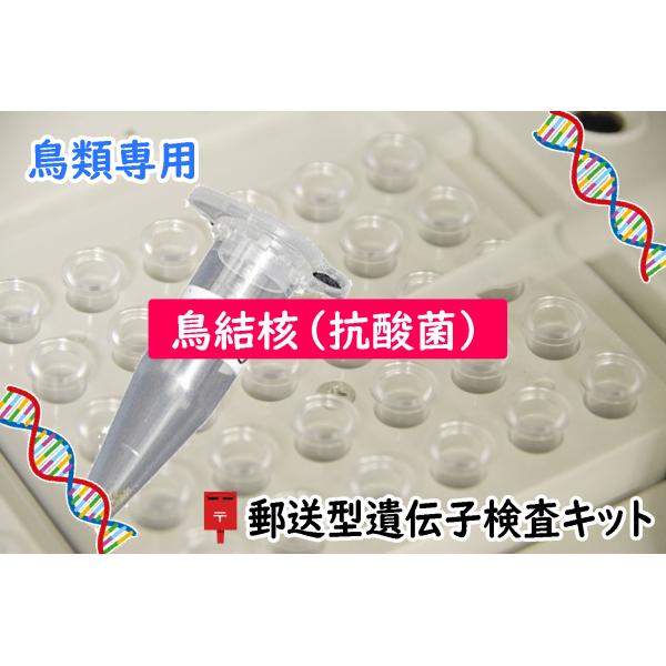 送料無料 | 【自宅で遺伝子検査・郵送型】小鳥の遺伝子検査キット　鳥抗酸菌/鳥結...