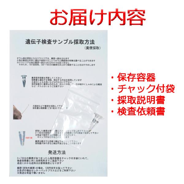 送料無料 | 【自宅で遺伝子検査・郵送型】小鳥の遺伝子検査キット　鳥抗酸菌/鳥結...
