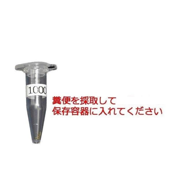 送料無料 | 【自宅で遺伝子検査・郵送型】小鳥の遺伝子検査キット　鳥抗酸菌/鳥結...