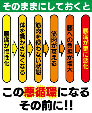 腰痛ベルト 腰痛コルセット 腰痛サポーター 腰痛対策 腰痛予防 腰の痛み ぎっくり腰 サポーター コルセット ベルト 腰 骨盤 痛み 腰を固定 Wベルト プレゼント ウエストサポーター 骨盤ベルト