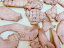 ジャーキー　兵庫県産淡路鶏 むね肉 150g　味無し ペット用食材 化　無添加 国産