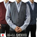 日本製 メンズ ベスト ビジネス 前開き 縄柄 ボタン 無地 洗える セーター 洗濯OK ウール混 春 夏 秋 冬 ウォッシャブル 毛玉抑制加工 誕生日 還暦 ...