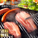 【期間限定 ポイント還元中】 送料無料 北海道 札幌バルナバフーズ 農家のベーコン&バラエティセット ベーコン ブロック 生ハム ギフト ウインナー ウインナー...