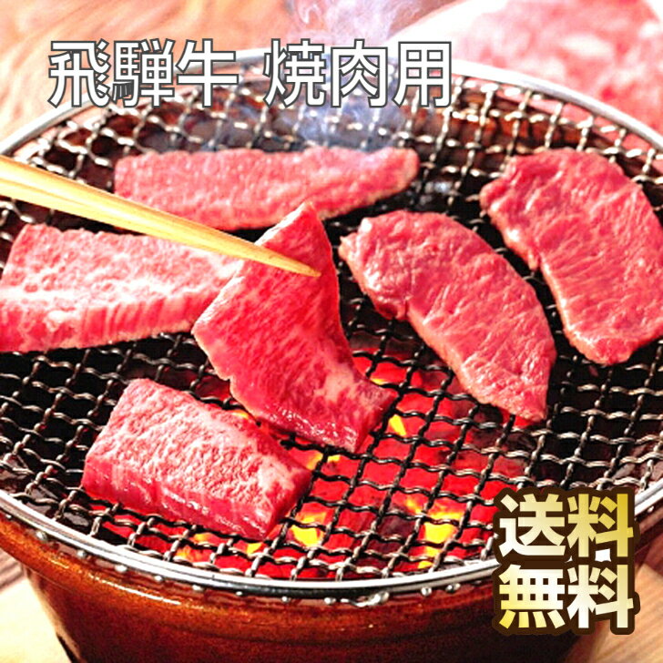 飛騨牛 岐阜 飛騨牛 焼肉 ギフト 国産 牛肉 焼肉用 和牛 黒毛和牛 焼き肉 国産牛 国産牛肉 ブランド牛 やき肉 やきにく お肉 特産品 高級肉 高級 肉 お返し 内祝い お取り寄せグルメ 取り寄せ お取り寄せ お肉おいしい お肉ギフト 冷凍牛肉 送料無料