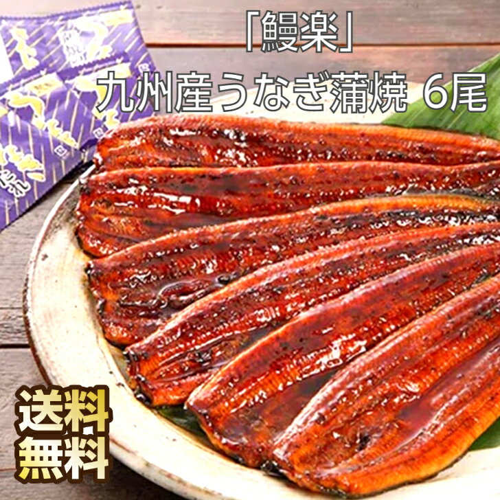 「 鰻楽 」 九州産うなぎ蒲焼 6尾 九州 鰻 国産 美味しい うなぎ 蒲焼 鰻の蒲焼き うなぎの蒲焼 うなぎの蒲焼き 国産鰻 冷凍 うなぎ蒲焼 鰻蒲焼 鰻蒲焼き うなぎ蒲焼き 国産うなぎ 蒲焼き 国産うなぎ蒲焼 国産ウナギ おいしい鰻 お取り寄せグルメ ギフト お返し